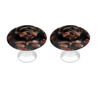 Yorkie Puppy Cabinet Knobs, 2-Pack Silver Stainless Steel Drawer Pulls with Screws, Elegant Hardware for Dressers, Kitchen,Cabinets & Desks