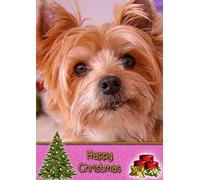 Yorkie/Yorkshire Terrier Dog Christmas Card 'Happy Christmas' - Special Animal Xmas Card for Him Her from Pets Kids