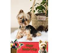 Yorkie/Yorkshire Terrier Dog Mothers Day Card