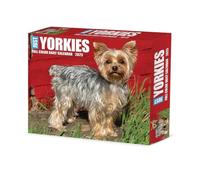 Yorkies 2025 Box