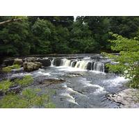 Yorkshire Dales Private Tour Swaledale and Wensleydale