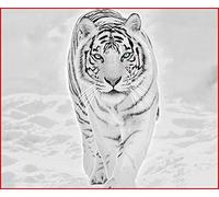 Yorkshire Homeware Animal Pattern Luxury 3D Faux Fur Throws Blankets For Sofa Bed Blankets Double King Size (White Tiger, King 200 x 240cm)