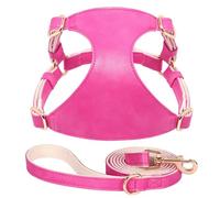 Yorkshire Pug Chihuahua Adjustable Harness Soft And Comfortable PU Leather Dog Carrier Leash Set For Small And Medium Dogs,Rose,2XS