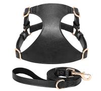 Yorkshire Pug Chihuahua Adjustable Harness Soft And Comfortable PU Leather Dog Carrier Leash Set For Small And Medium Dogs,Black,S