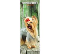 Yorkshire Terrier 2026 Slim Calendar