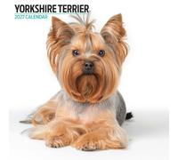 Yorkshire Terrier 2027 Modern Calendar