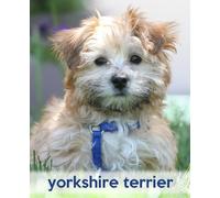 [(Yorkshire Terrier : A Gift Journal for People Who Love Dogs: Yorkshire Terrier Puppy Edition)] [By (author) Todayspetpublishing] published on (January, 2014)