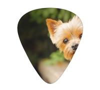 Yorkshire Terrier Bokeh Cute Dogs Wall,12 Pcs Guitar Pick,3 Different Thickness Plectrums for Acoustic Guitar Bass Ukulele (0.46mm 0.96mm 0.71mm)