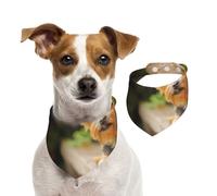 Yorkshire Terrier Bokeh Cute Dogs Wall,Dog Bandanas Cotton Pet Scarf Adjustable Bibs for Pet,S