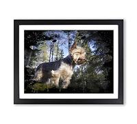 Yorkshire Terrier Dog Forest Modern CB Framed Print | A4 Black Framed Wall Art | Ready to Hang | Modern Animal Picture | Living Room Bedroom Lounge Office