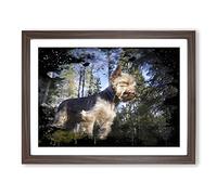 Yorkshire Terrier Dog Forest Modern CB Framed Wall Art Print, Ready to Hang Picture for Living Room Bedroom Home Office Décor, Walnut A3 (46 x 34 cm)