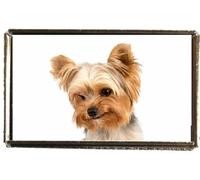 Yorkshire Terrier Dog Silver Colour Rectangle Badge With A Velveteen Bag