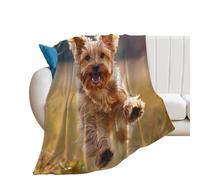 Yorkshire Terrier Dog Throw Blanket for Couch Soft Warm Flannel Bed Blankets for All Seasons 60"*80"（150 * 200cm）