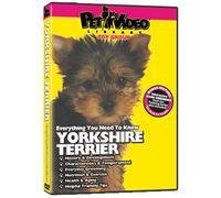 YORKSHIRE TERRIER DVD: + Dog & Puppy Training Bonus
