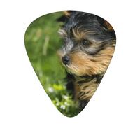 Yorkshire Terrier Green Grass Cute Dogs,12 Pcs Guitar Pick,3 Different Thickness Plectrums for Acoustic Guitar Bass Ukulele (0.46mm 0.96mm 0.71mm)