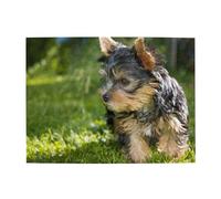 Yorkshire Terrier Green Grass Cute Dogs,500 Pieces Puzzles for Adults-Wooden Jigsaw Puzzle for Adults Elderly