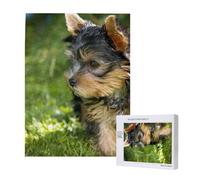 Yorkshire Terrier Green Grass Cute Dogs,500 Pieces Wooden Jigsaw Family Game Jigsaw Puzzles for Adults Teens