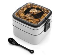Yorkshire Terrier in The Cave Bento Box with Spoon & Handle - 2 Compartment Leak-Proof Stackable Lunch Box for Adults, BPA-Free Reusable Food Containers for Work, Travel, Picnic