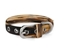 Yorkshire Terrier in The Cave Dog Collar Adjustable Pet Collar Stainless Steel D-Ring Collar Oxford Cloth Cat Collar Strap with Metal Buckle for Small Medium Dog
