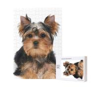 Yorkshire Terrier Lies On White,300 Pieces Wooden Jigsaw Family Game Jigsaw Puzzles for Adults Teens