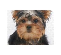 Yorkshire Terrier Lies On White,500 Pieces Puzzles for Adults-Wooden Jigsaw Puzzle for Adults Elderly