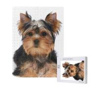 Yorkshire Terrier Lies On White,500 Pieces Wooden Jigsaw Family Game Jigsaw Puzzles for Adults Teens