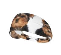 Yorkshire Terrier Lies On White,Sports Sweatband for Unisex Multi Headband Elastic Exercise Hairband