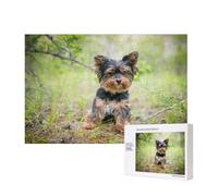 Yorkshire Terrier Little Puppy Pets Dogs,300 Pieces Wooden Jigsaw Family Game Jigsaw Puzzles for Adults Teens Home Decor