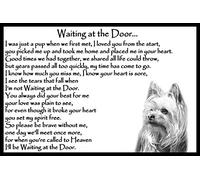 Yorkshire Terrier pet Loss Memorial Bereavement Gift - Waiting at The Door