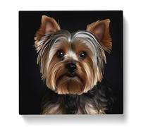 Yorkshire Terrier Photograph No.1 Canvas Print | Gallery Wrapped 30mm Frame Wall Art | 20x20 inches | Ready to Hang | Modern Picture | Living Room Bedroom Lounge Office