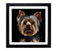 Yorkshire Terrier Photograph No.1 Framed Print | 18x18 Inch Black Framed Wall Art | Ready to Hang | Modern Animal Picture | Living Room Bedroom Lounge Office