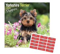 Yorkshire Terrier Puppies Calendar 2026 with Organisational Stickers