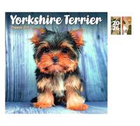 Yorkshire Terrier Puppies Mini Calendar 2026 + FSC ECO-FRIENDLY DIARY