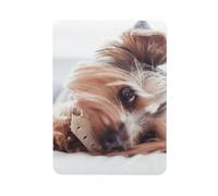 Yorkshire Terrier, Rectangle Magnetic Refrigerator Sticker Soft Magnetic Fridge Magnets Furniture Decoration 1pc