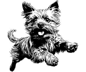 'Yorkshire Terrier Running ' Rubber Stamp - Unmounted Design for Crafting & Scrapbooking, A7 (RS00051619)