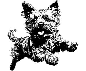 'Yorkshire Terrier Running ' Rubber Stamp - Unmounted Design for Crafting & Scrapbooking, A8 (RS00051620)
