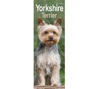 Yorkshire Terrier Slim