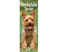 Yorkshire Terrier Slim 2026 Calendar | Slimline Wall Calendar | Dog Breed Gift | Plastic Free Packaging | by Avonside Publishing