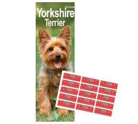 Yorkshire Terrier Slim Calendar 2026 | Dog Breed Yorkie Slimline Calendar | 12 Month Wall Calendar | January to December 2026 | With Free Organisational Stickers