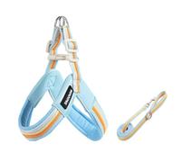 Yorkshire Terrier Y-shaped harness and leash set, 1.4m lightweight anti-pull harness, soft padding blue L