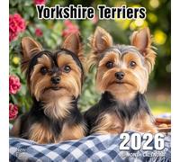 Yorkshire Terriers 2026 Calendar