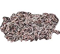 Yorkshire Worms SMALL Dendrobaena Worms 500g Pack - Suitable for Composting and Wormery Starter Packs (500g)