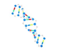 YOSADIER Accurate Double Helix Dna Model Kit for Students Biology Class Science Fair Projects Educational Genetics and Biochemistry Teaching Aid with Detailed Molecular Structure Components