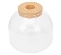 YOSADIER DIY Microlandscape Bottle Ecological Planter for Home Office Decor Create Your Own Moss Landscape Smooth Surface Design for Easy Cleaning for Handmade Decorations