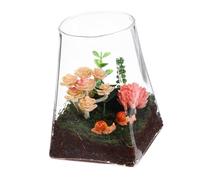 YOSADIER Glass Terrarium Bottle Micro Landscape Planter Vase 10x15cm Empty Round-top Square-base Glass Plant Container for Home Garden Decoration