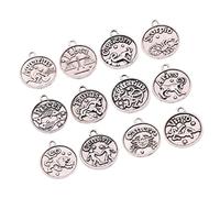 YOSADIER Retro Bronze Alloy Pendant Charms Set for Diy Jewelry Making Zodiac Signs Decor for Necklaces Earrings Unique Birthday Friends Loved Ones