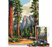 Yosemite National Park 1000 Piece Jigsaw Puzzles for Adults Teenagers Focus Training Quiet Recreation Fine Edges Joyful Xmas (38x52cm)