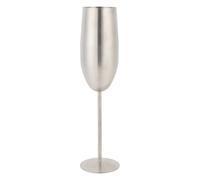 Yosoo Health Gear Stainless Steel Champagne Flutes, 260ml, Stemmed Unbreakable Wine Goblets, Set of Tall Vintage Glasses