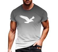 YOSUWOAI T-Shirts for Men, Short Sleeve Crew Neck T-Shirts with Bird Print Graphic Vintage Streetwear Casual Tee Shirt Men Cotton Sports Shirts Loose Summer Tops Sports Gym T-Shirt, O Grey, S