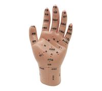 YOtat Acupuncture Hand Model - 15Cm Child Hand Acupuncture Model - Doll Massage Hand Practice Hand Model For Meridian Massage Teaching